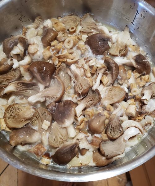 Oyster mushroom pasta w/smoked jack cheese
